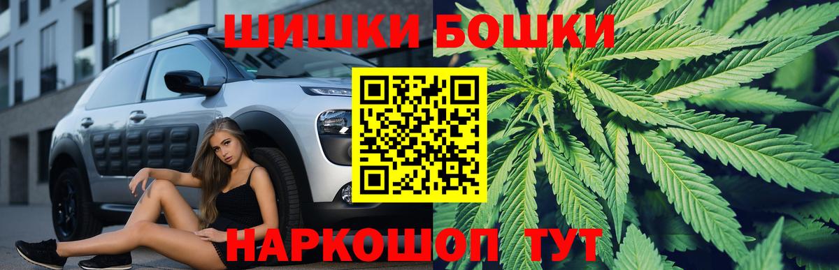 Канабис SATIVA & INDICA Полевской